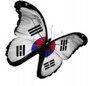 Бабочка в цвете флага Южной Кореи